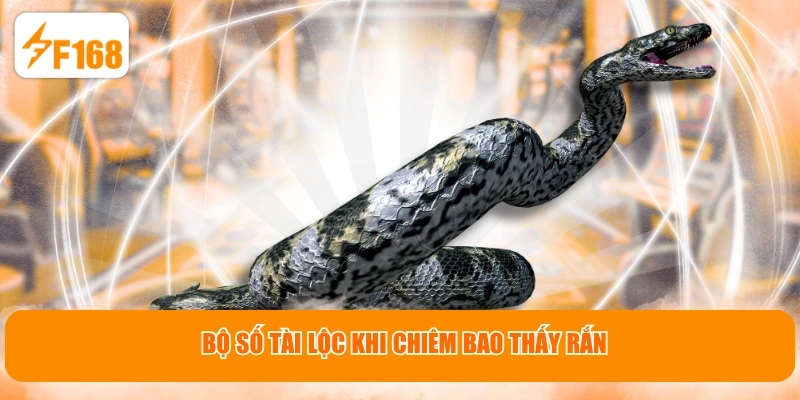 Bộ số tài lộc khi chiêm bao thấy rắn