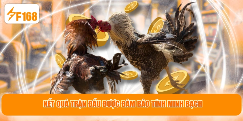 Kết quả trận đấu được đảm bảo tính minh bạch