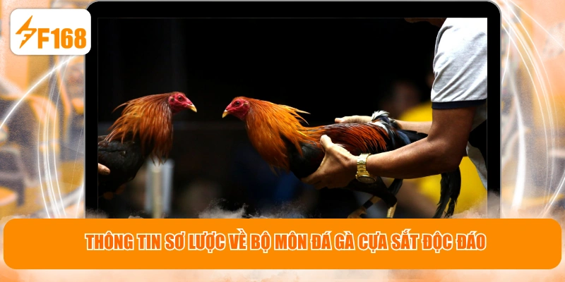 Thông tin sơ lược về bộ môn đá gà cựa sắt độc đáo
